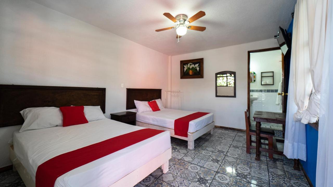 Hotel Posada Bugambilias San Luis Potosí Extérieur photo