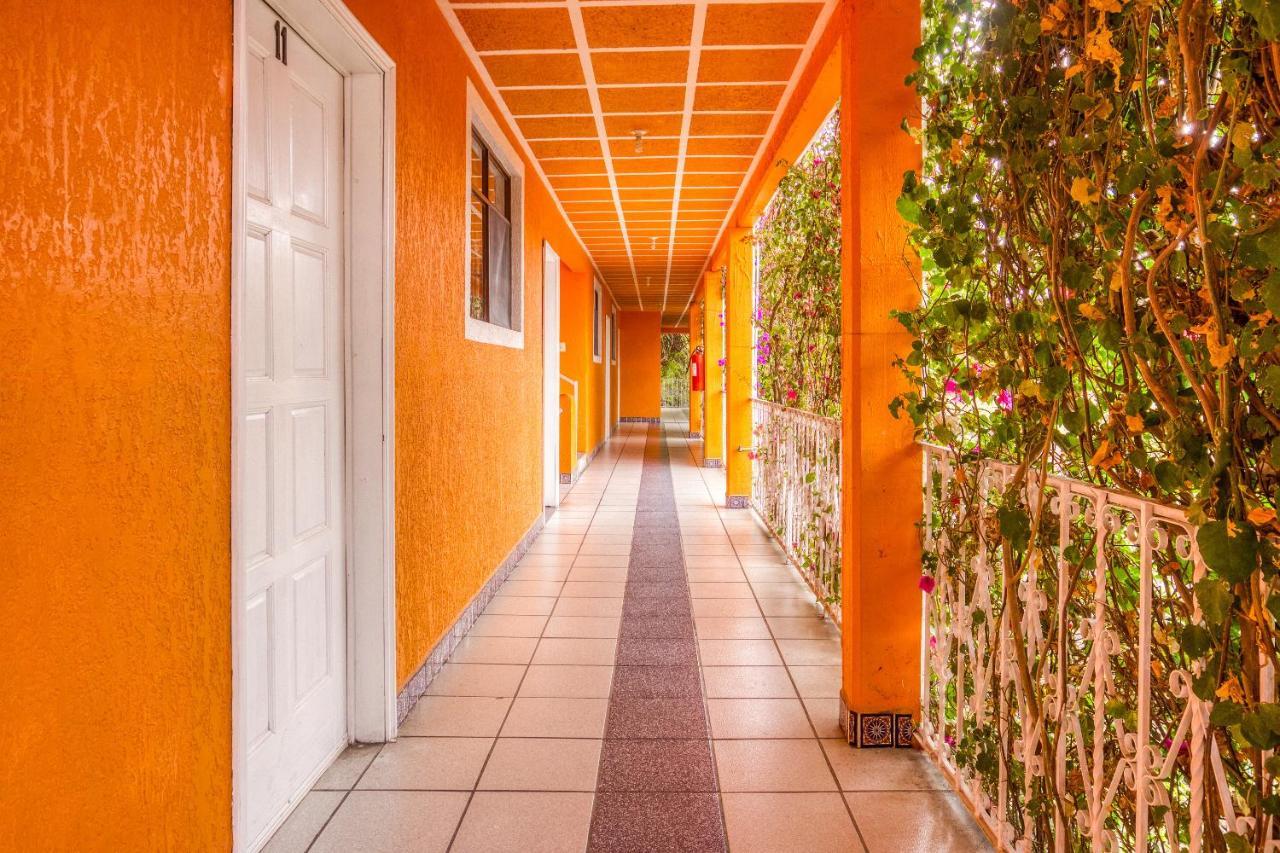 Hotel Posada Bugambilias San Luis Potosí Extérieur photo